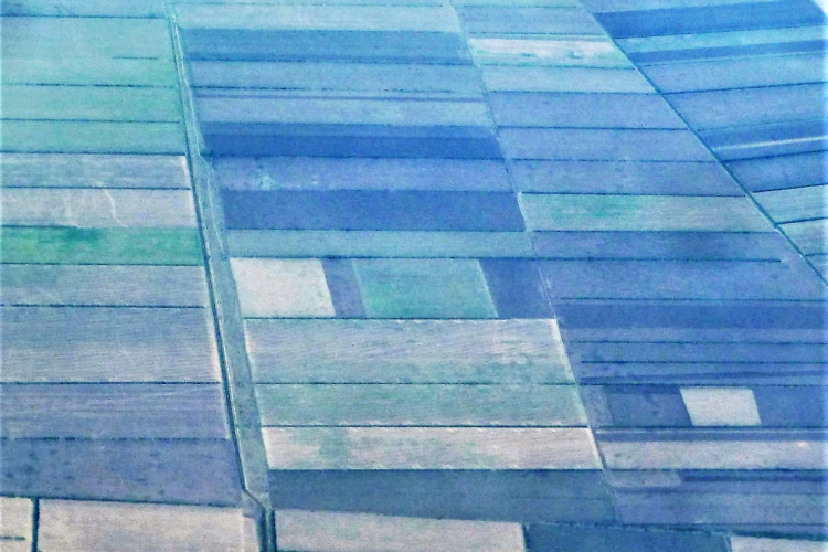 Wie mit dem Lineal gezogen: Felder im Süden Russlands aus der Vogelperspektive. Foto: Ost-Ausschuss/Metz