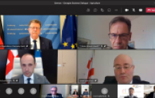 Online-Diskussionsrunde im Rahmen des Deutsch-Georgischen Wirtschaftsdialogs