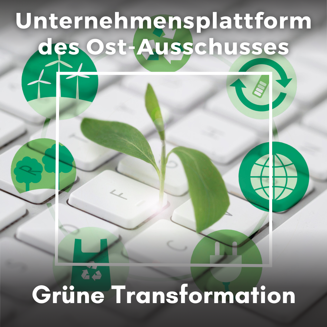 Grüne Transformation